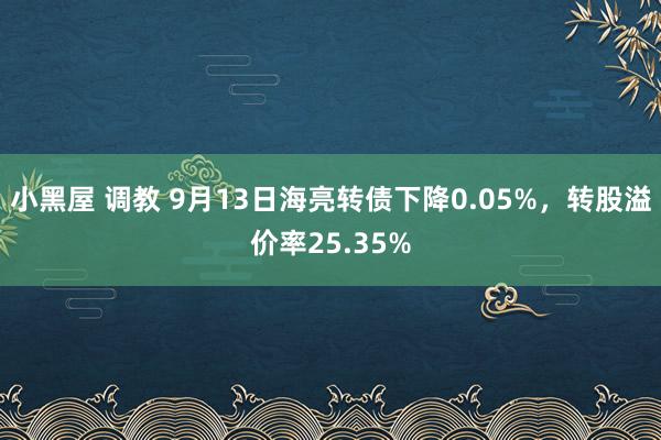 小黑屋 调教 9月13日海亮转债下降0.05%，转股溢价率25.35%