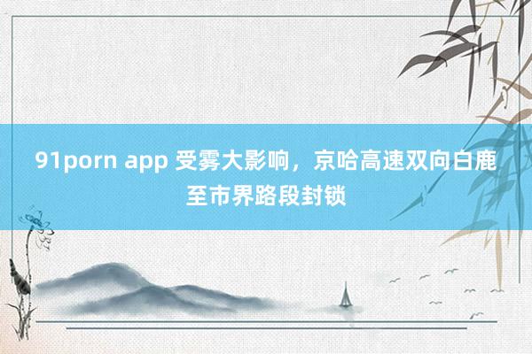 91porn app 受雾大影响，京哈高速双向白鹿至市界路段封锁