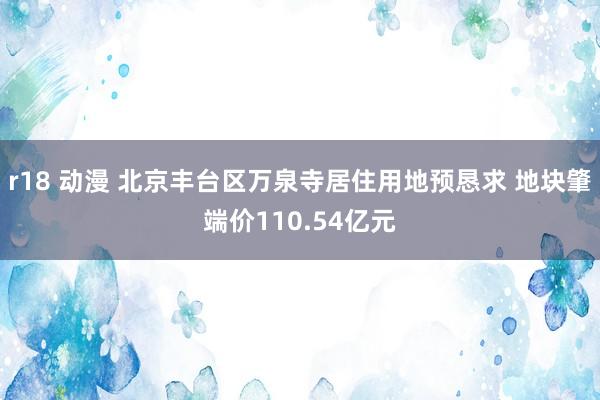 r18 动漫 北京丰台区万泉寺居住用地预恳求 地块肇端价110.54亿元