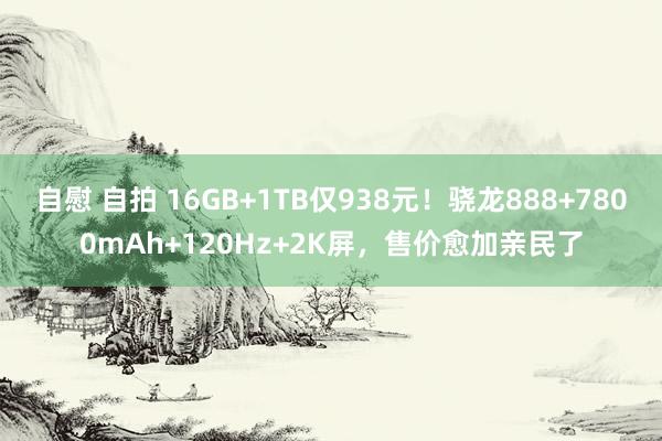 自慰 自拍 16GB+1TB仅938元！骁龙888+7800mAh+120Hz+2K屏，售价愈加亲民了