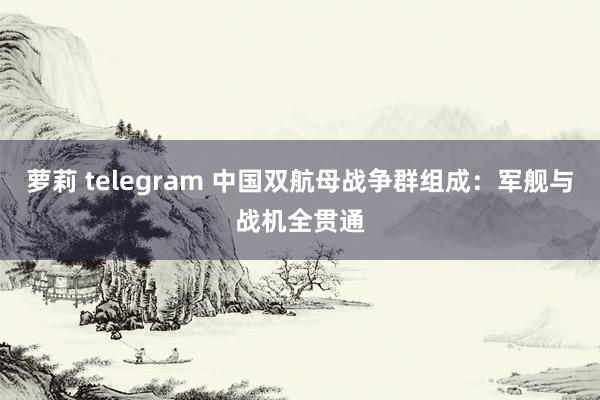 萝莉 telegram 中国双航母战争群组成：军舰与战机全贯通