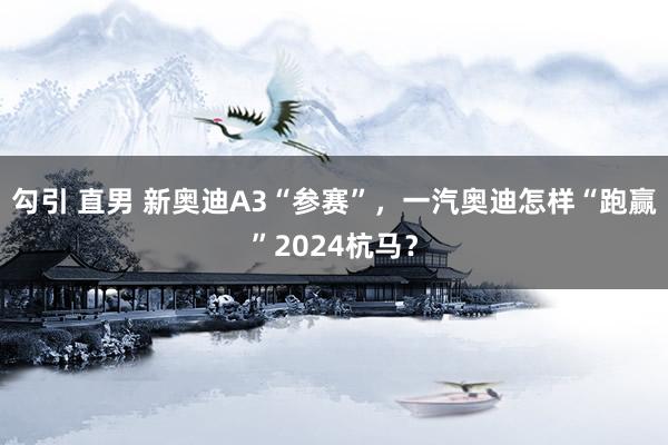 勾引 直男 新奥迪A3“参赛”，一汽奥迪怎样“跑赢”2024杭马？