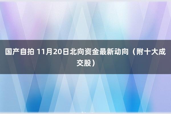 国产自拍 11月20日北向资金最新动向（附十大成交股）