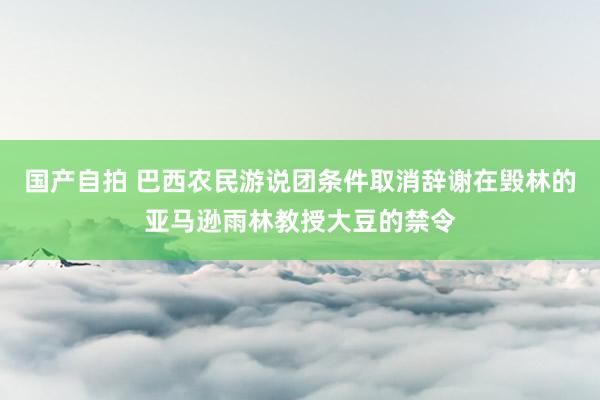 国产自拍 巴西农民游说团条件取消辞谢在毁林的亚马逊雨林教授大豆的禁令