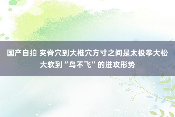 国产自拍 夹脊穴到大椎穴方寸之间是太极拳大松大软到“鸟不飞”的进攻形势