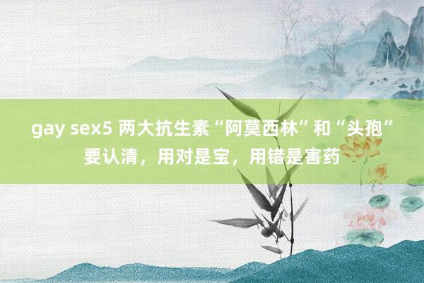 gay sex5 两大抗生素“阿莫西林”和“头孢”要认清，用对是宝，用错是害药