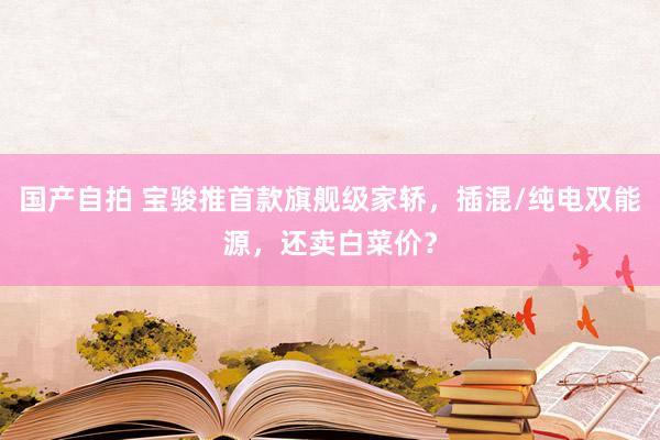 国产自拍 宝骏推首款旗舰级家轿，插混/纯电双能源，还卖白菜价？