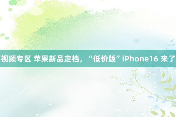 视频专区 苹果新品定档，“低价版”iPhone16 来了