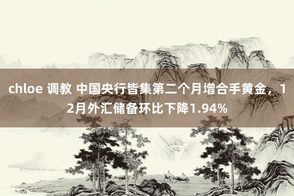 chloe 调教 中国央行皆集第二个月增合手黄金，12月外汇储备环比下降1.94%