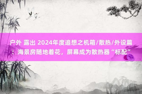 户外 露出 2024年度追想之机箱/散热/外设篇：海景房随地着花，屏幕成为散热器“标配”