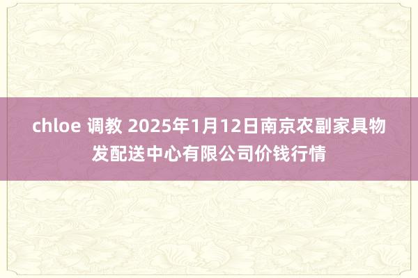 chloe 调教 2025年1月12日南京农副家具物发配送中心有限公司价钱行情