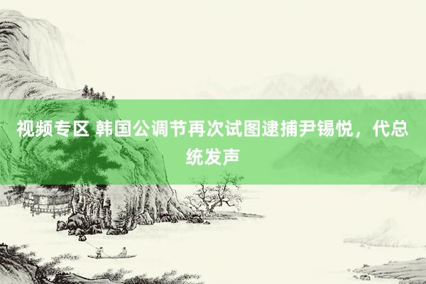 视频专区 韩国公调节再次试图逮捕尹锡悦，代总统发声