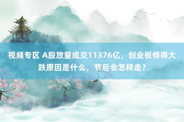 视频专区 A股放量成交11376亿，创业板倏得大跌原因是什么，节后会怎样走？