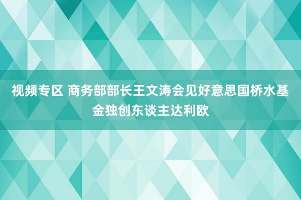 视频专区 商务部部长王文涛会见好意思国桥水基金独创东谈主达利欧